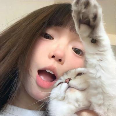 战地花开